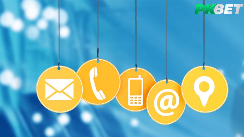 Cần lưu ý điều gì khi liên hệ PKBet?